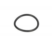 Уплотнительное кольцо форсунки (пр-во DT) - 6.33084