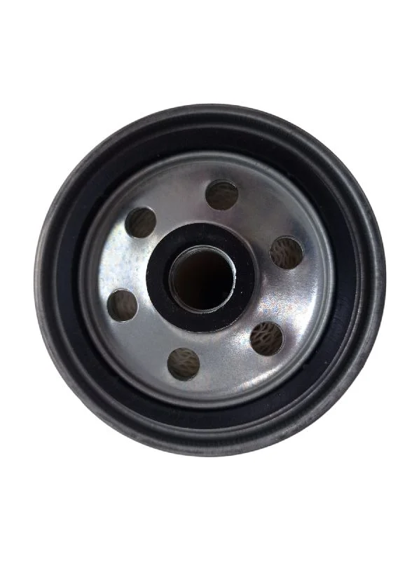 Фільтр паливний CASE X110,TD5.110 (CNH)