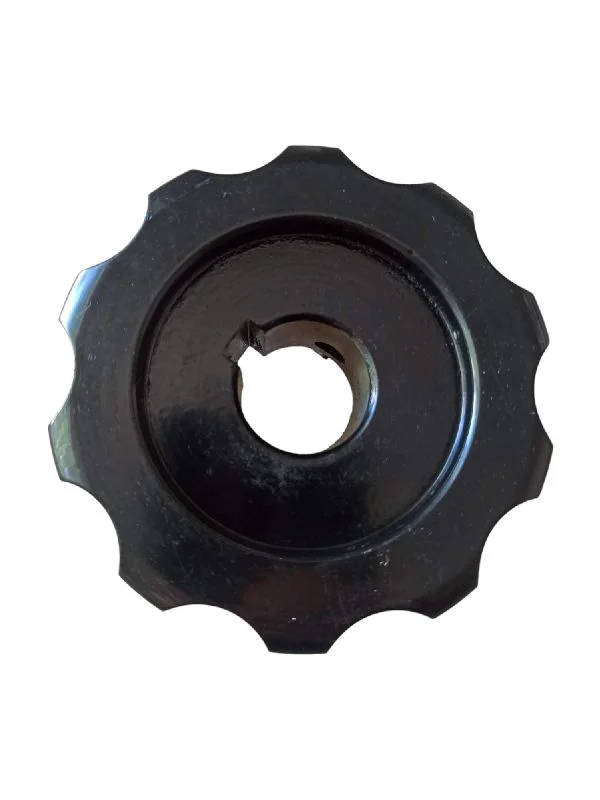 Зірочка Z=10/D=25