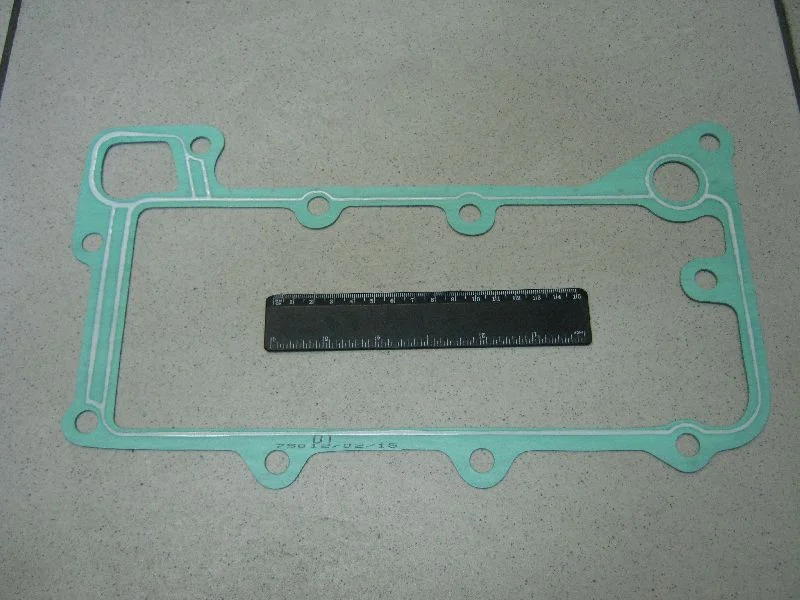 Прокладка масляного радіатора MAN D2865 (пр-во DT)