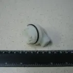 Цоколь лампи