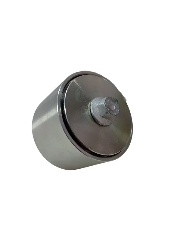 Ролик (вир-во DAYCO)