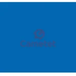 Фарба синя NEW HOLLAND (2000- ) 0,75 л