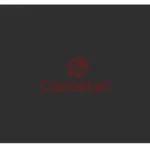 Фарба сіра CLAAS 0,75 л