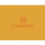 Фарба жовта CAT 0,75 л