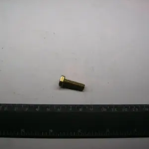 Болт ГАЗ М6х20 багатоціл. Волга, ГАЗ 3307,3309 (купл. ГАЗ)