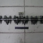 Вісь коромисел в зборі