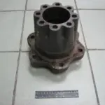 Маточина задня